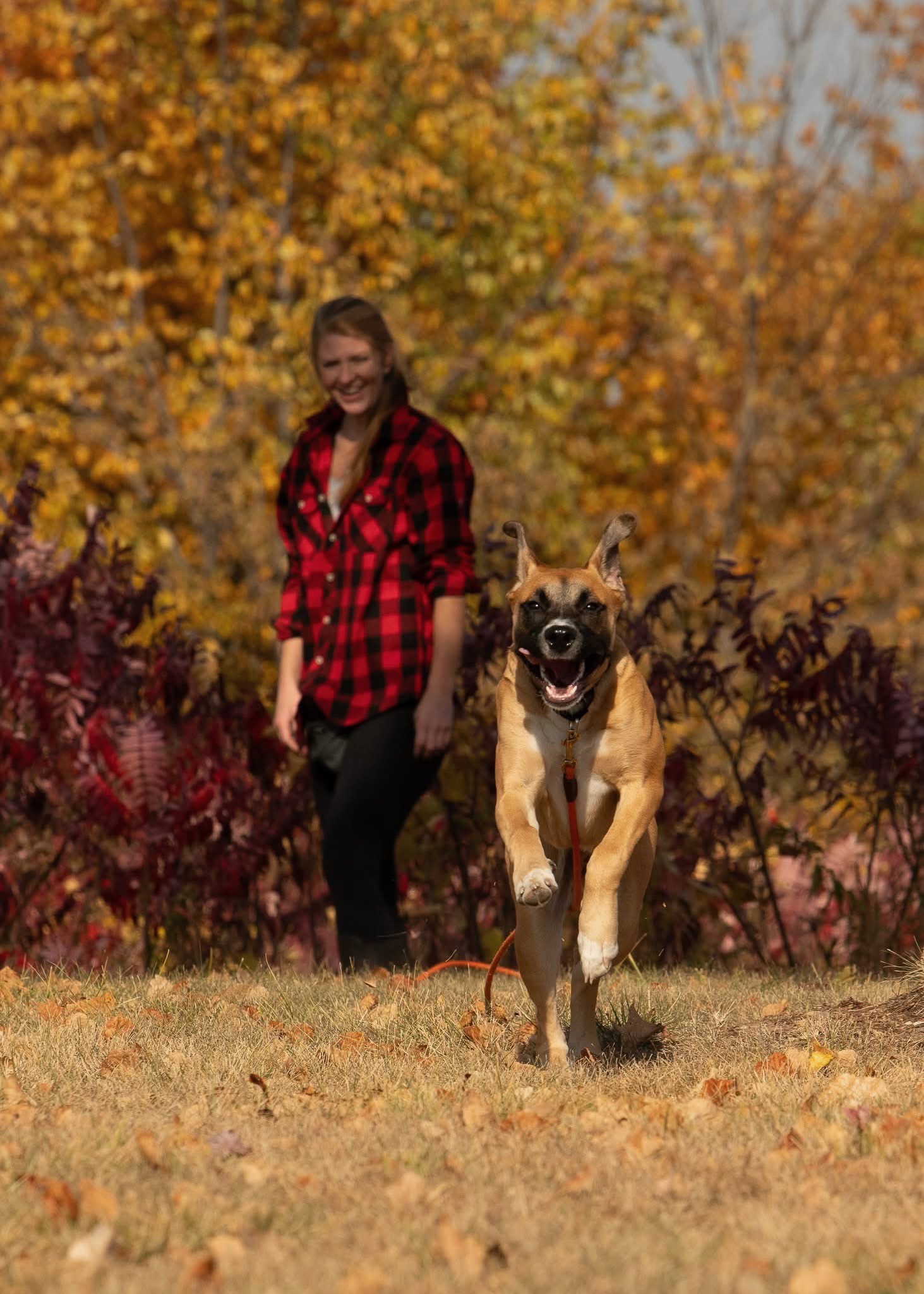 Erica with a dog in an autumn outdoor setting — training in real environments